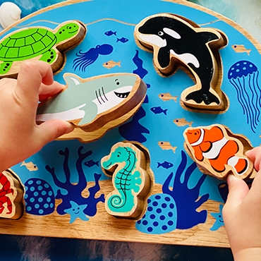 Shape sorting puzzles designed to develop dexterity skills . . .