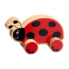Wooden Ladybird push along toy
