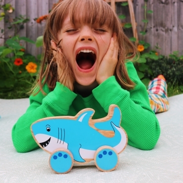 Set fun in motion with our range of moving toys . . .