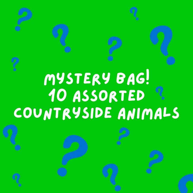 Purple back drop with floating yellow questions marks promoting countryside animal mystery bag