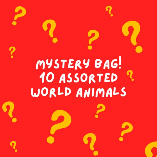 Red back drop with floating yellow questions marks promoting world animal mystery bag