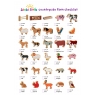 Lanka Kade Toys Character checklist - colourful animals