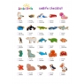 Lanka Kade Toys Character checklist - colourful animals